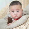 点淘app 部分号随机进zbj