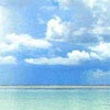浏览器搜索点点花开 春暖花开，两个APP自测，秒到