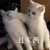 趋于平淡ζ