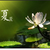 平淡淡简简...