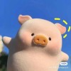 ★、维他命┛