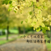 心太软