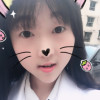 太阳永远不懂向日葵的执着