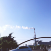 路小叶