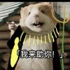 某柯南同款反光眼镜