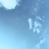 ŵ** 
