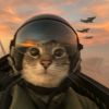 大脸猫