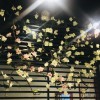 金金