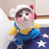 蜥蜴先生