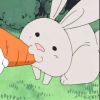 十