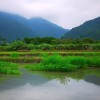 草雨田