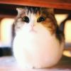 一人成光何来伤
