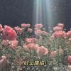 香格里拉