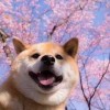 骑