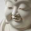 茶无此人