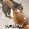 幸有冷巽