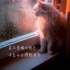 史迪仔