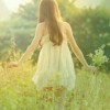 木槿曖夏七紀(jì)年。