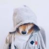 ヽ′迷茫ヽ