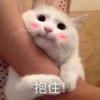 透視︿轉(zhuǎn)身淚成