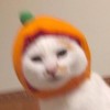 _妖家啤酒゛