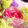 ℡LoVe