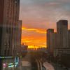 ? 無敵毛毛蟲