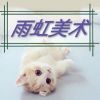 雨虹美术