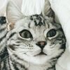 ?? ???
