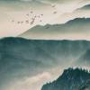 山雨傾.翠竹默