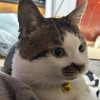 小小小滟紙
