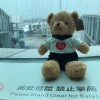 小斑馬薔薇花