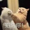 你猜我猜你猜不猜