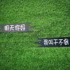 小憂傷
