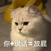 ? 喲西。