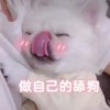      幾度霜 