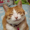 谷寧