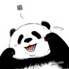 獨自小酌