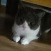 メ玖月牙曉ね