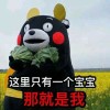 (?*?ω?)?