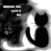 關鍵我是小貓咪