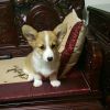 名兒