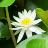  zzZ??花飄零㊣