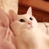 ╮(╯▽╰)╭葉。