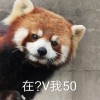 閑窺石鏡