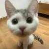 烏有
