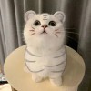 風和日麗娟如鶯