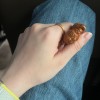 華