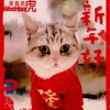 潔然不同