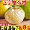 羿風.炎月